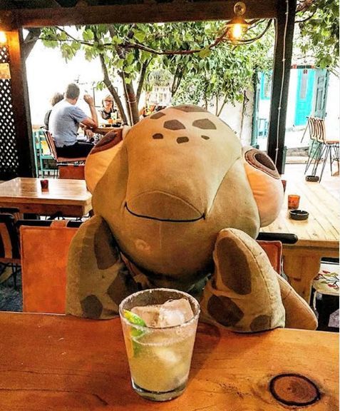 Dragoman Bahçe Kaş