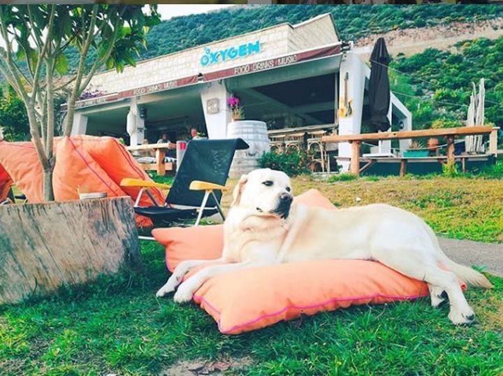 Oxygen Pub Kaş