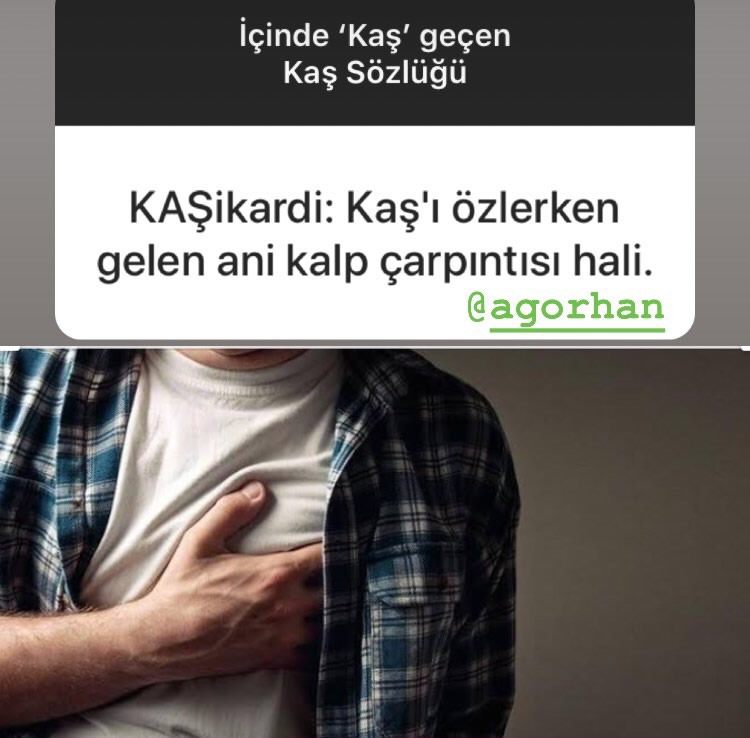 Kaş Kafası Sözlük