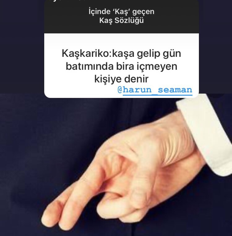 Kaş Kafası Sözlük