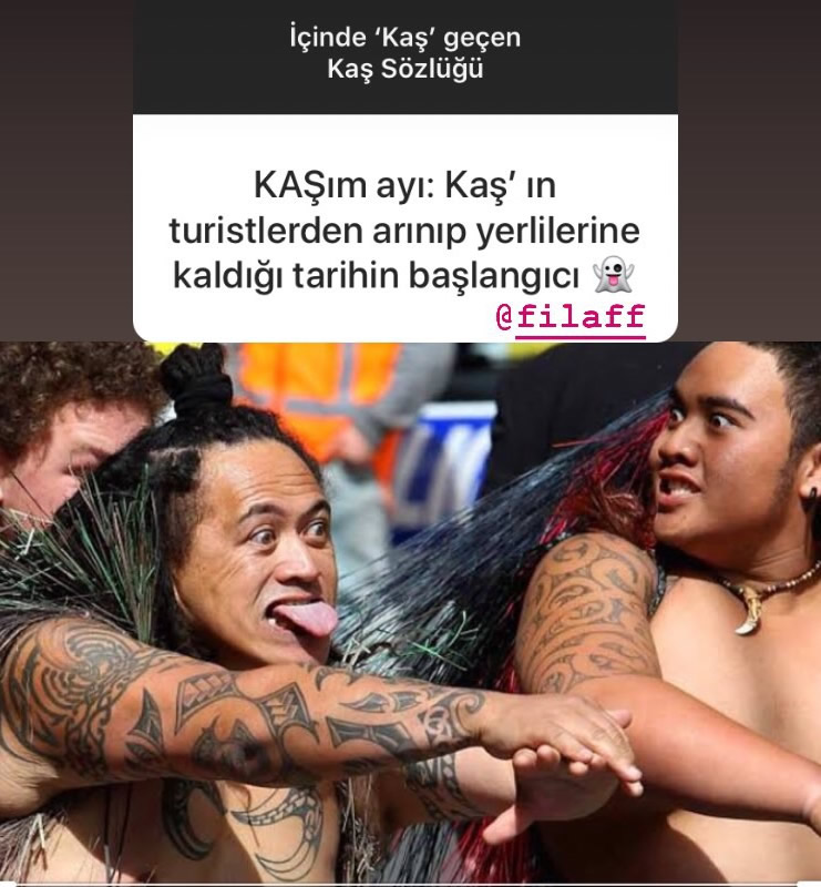 Kaş Kafası Sözlük