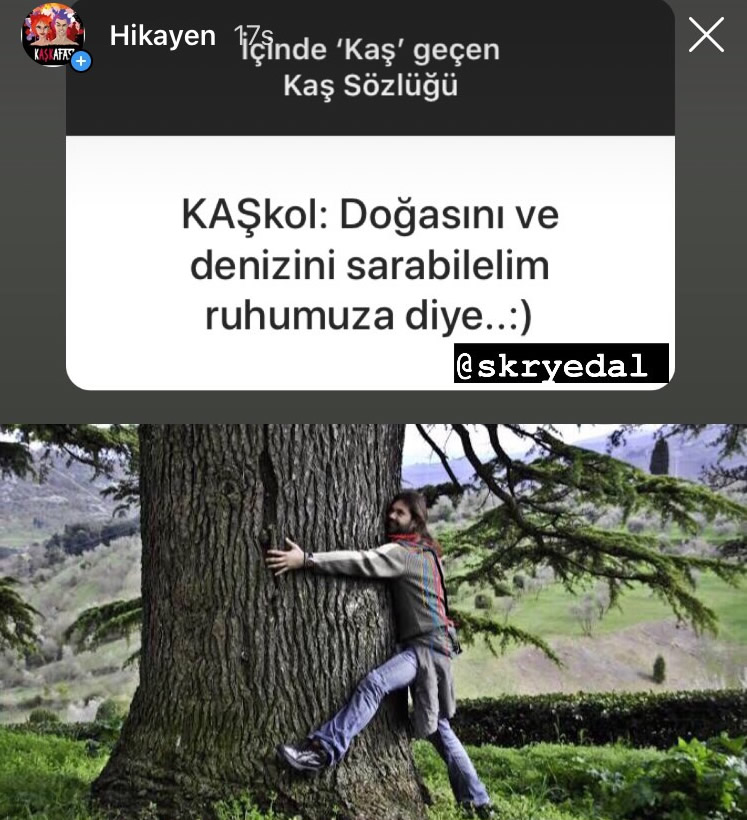 Kaş Kafası Sözlük