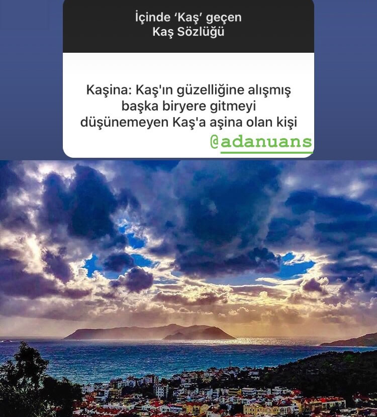 Kaş Kafası Sözlük