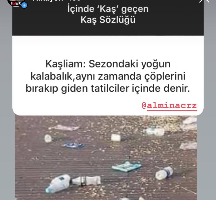 Kaş Kafası Sözlük