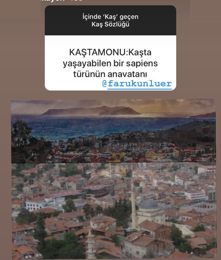 Kaş Kafası Sözlük