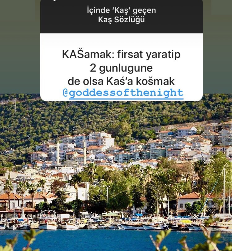 Kaş Kafası Sözlük