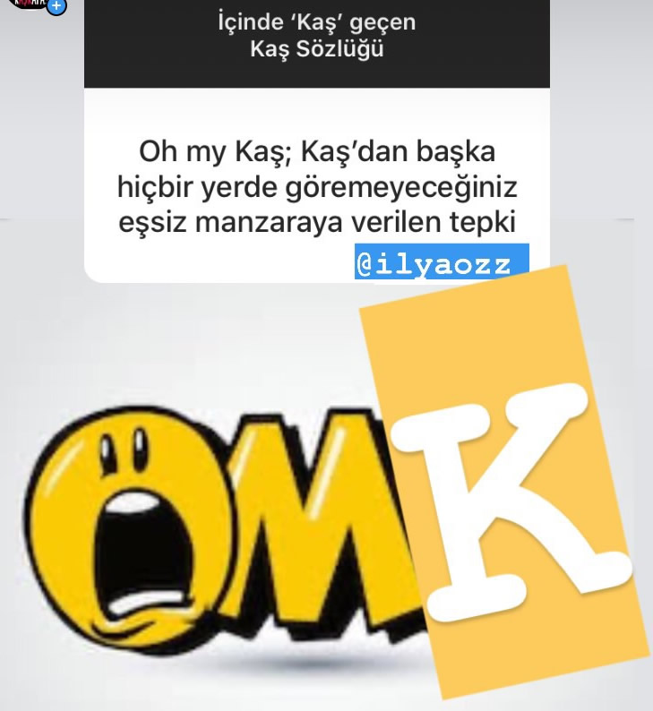 Kaş Kafası Sözlük